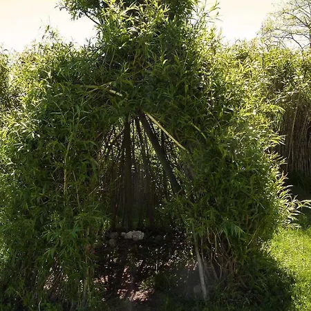 Baugnac N°2 * Lavalette (Haute-Garonne)