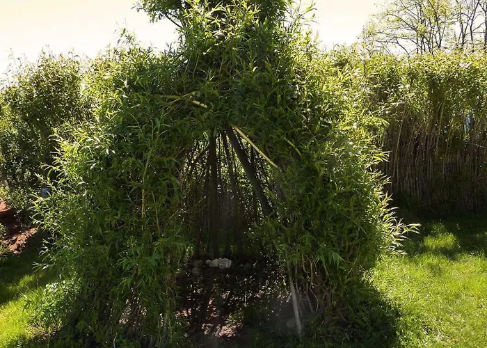 Baugnac N°2 * Lavalette (Haute-Garonne)