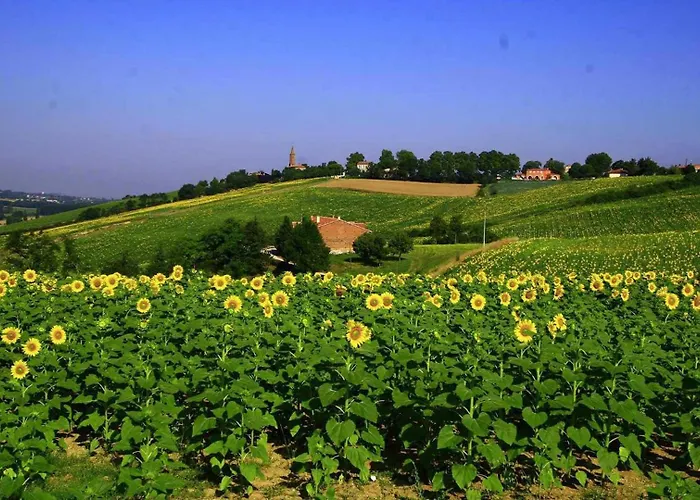 Baugnac N°2 度假居